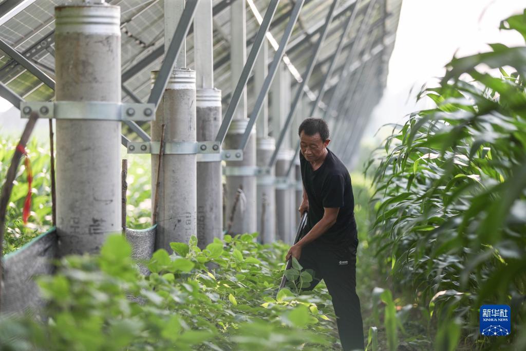 大富豪游戏电脑版